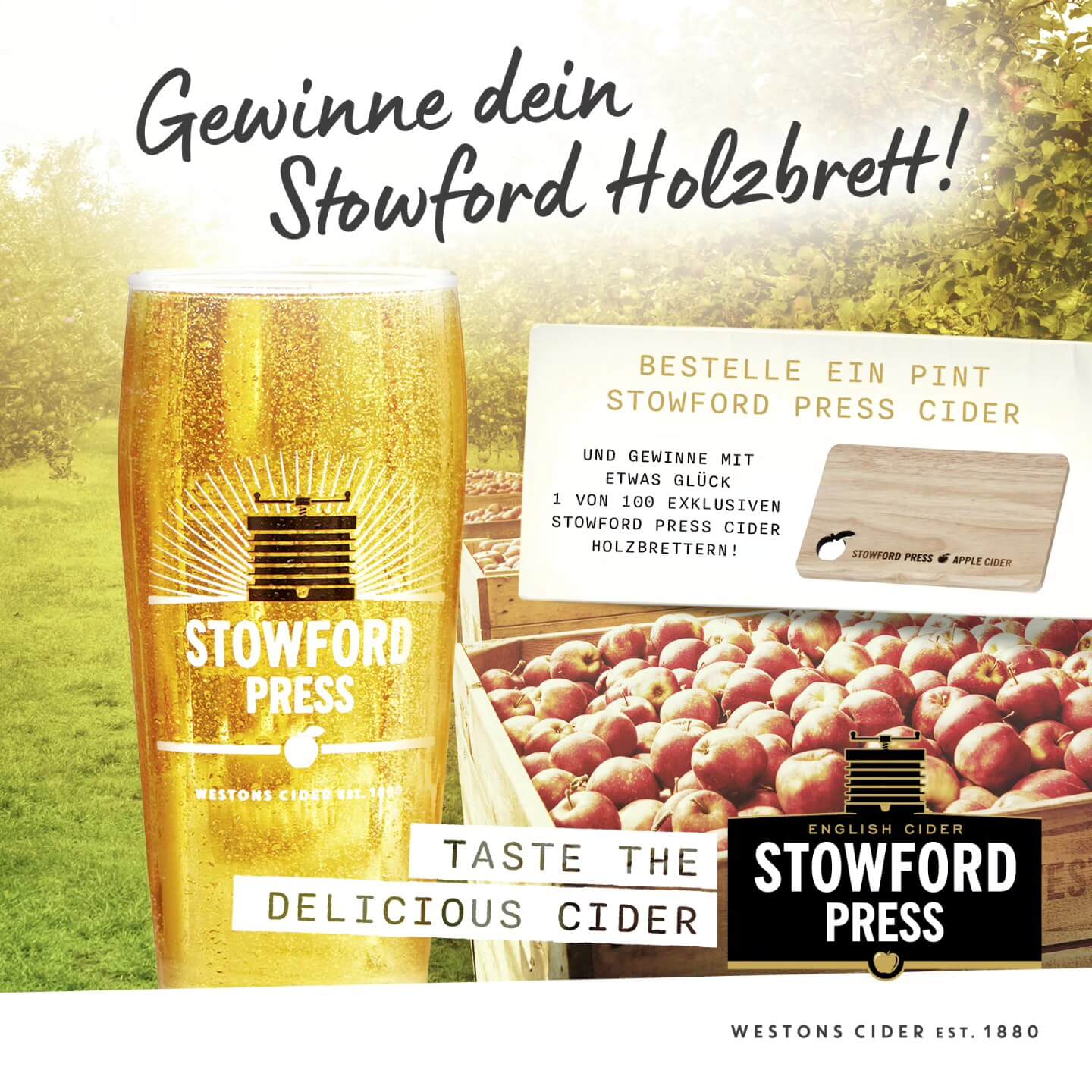 article/Stowford_Gewinnspiel_26.jpg